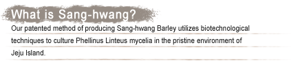 What is Sang-hwang?